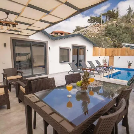 Patara 2 Bedroom Secluded With Private Pool Hot Tub Willa Kalkan